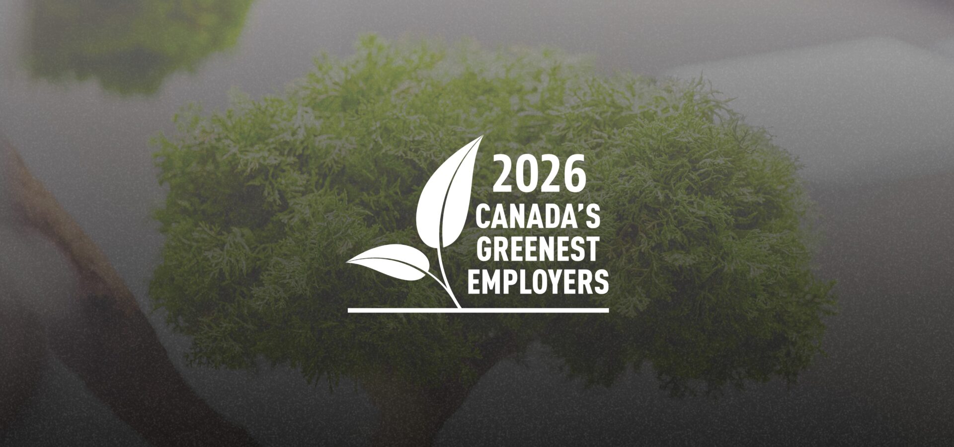 WalterFedy Named One of Canada’s Greenest Employers for 2026